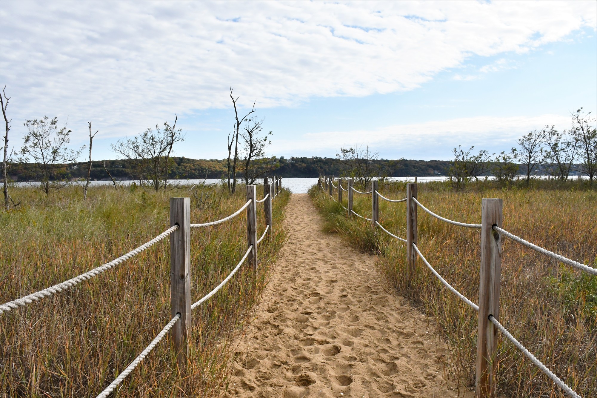 A sandy path leading to Sagamore Hill National Historic Site in Long Island