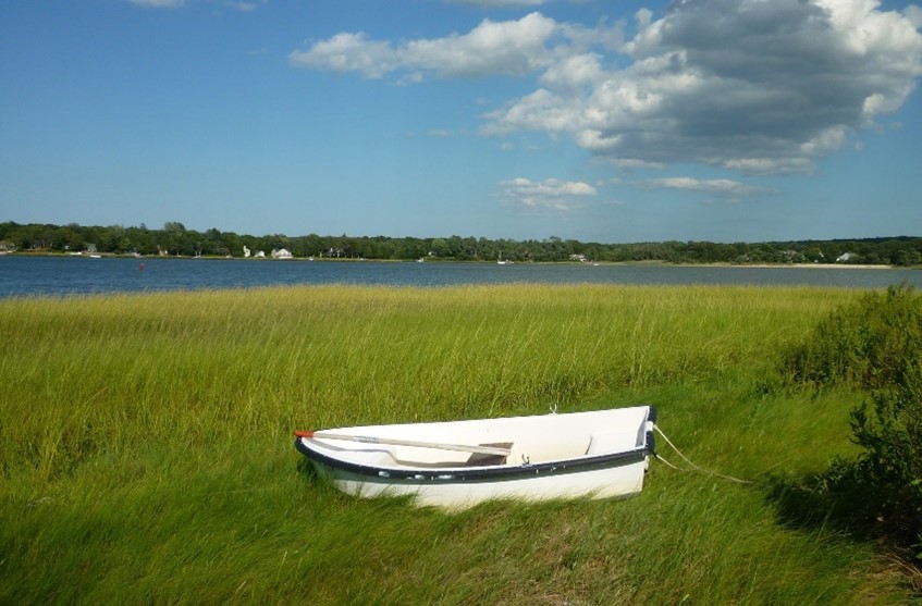 Row boat in a grass near water
