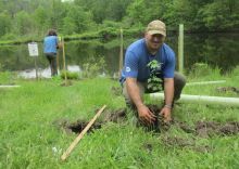 A young man plants a tree by a stream.