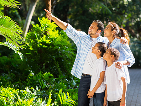 A family birding together in the woods. The father is pointing at a bird he observes in the trees