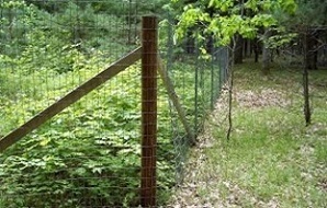 Fence to exclude deer from forested area