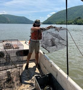 A man in a boat pulls up a crab pot.