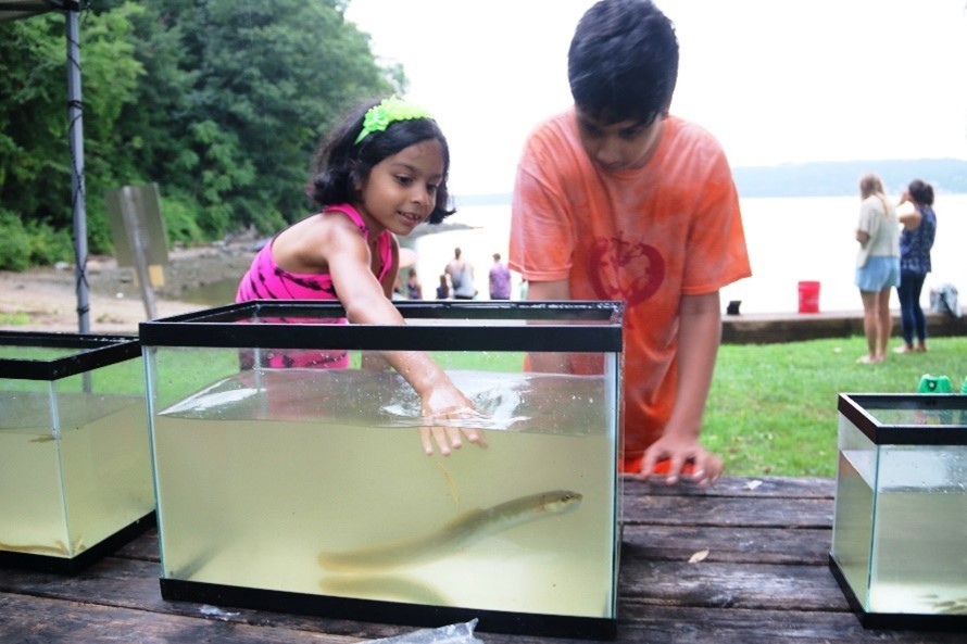 students observing fish in tanks