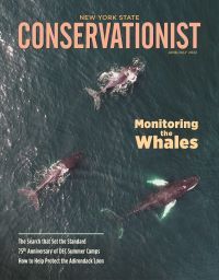 June/July 2022 Conservationist cover