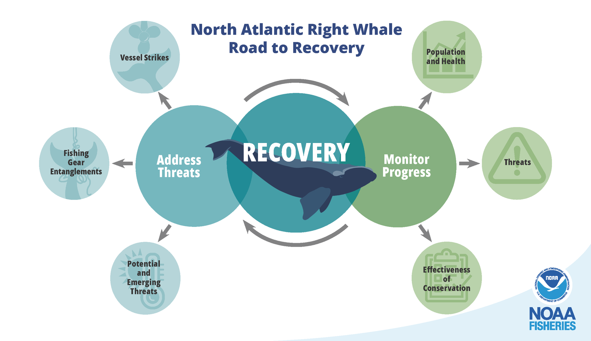Diagram of NOAA's North Atlantic right whale Road to Recovery Strategy
