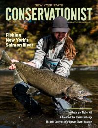 August/September 2022 Conservationist cover