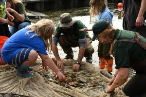 young students look at a net full of fish with staff from DEC.