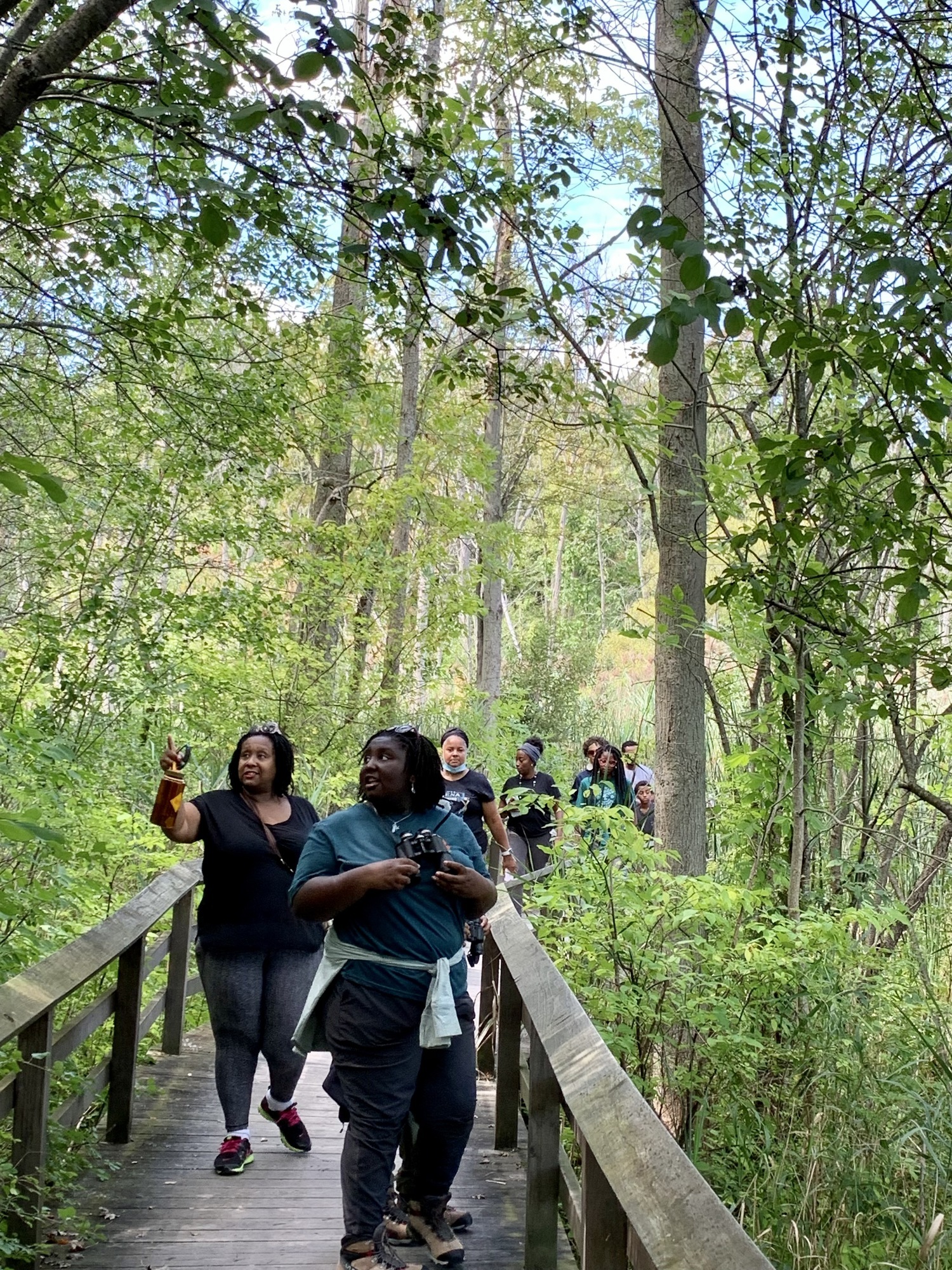 Birders on a boardwalk in the woods.