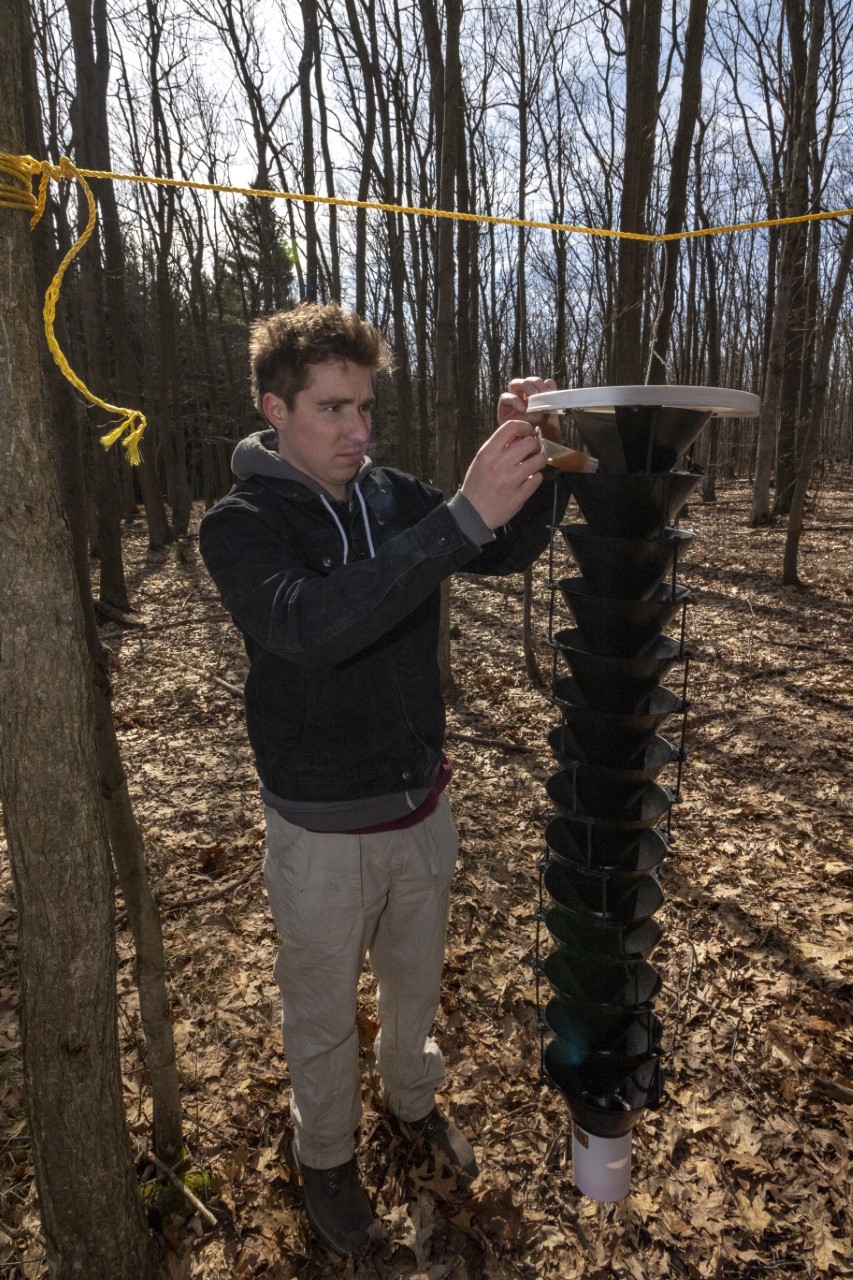 DEC entomologist checking traps