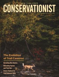 October/November 2022 Conservationist cover