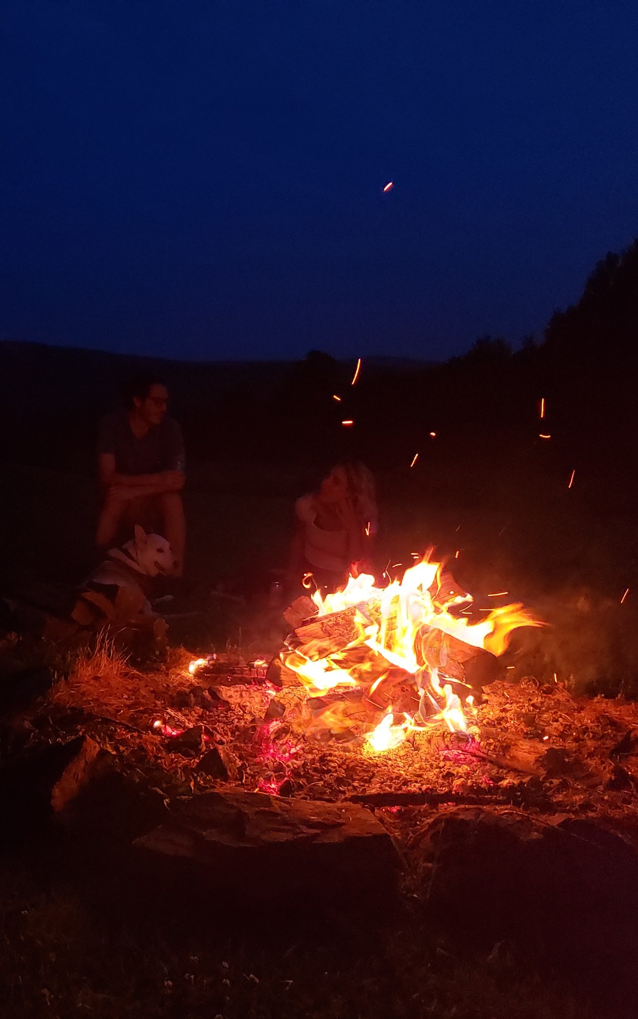 People and their dog sitting around a campfire in the evening