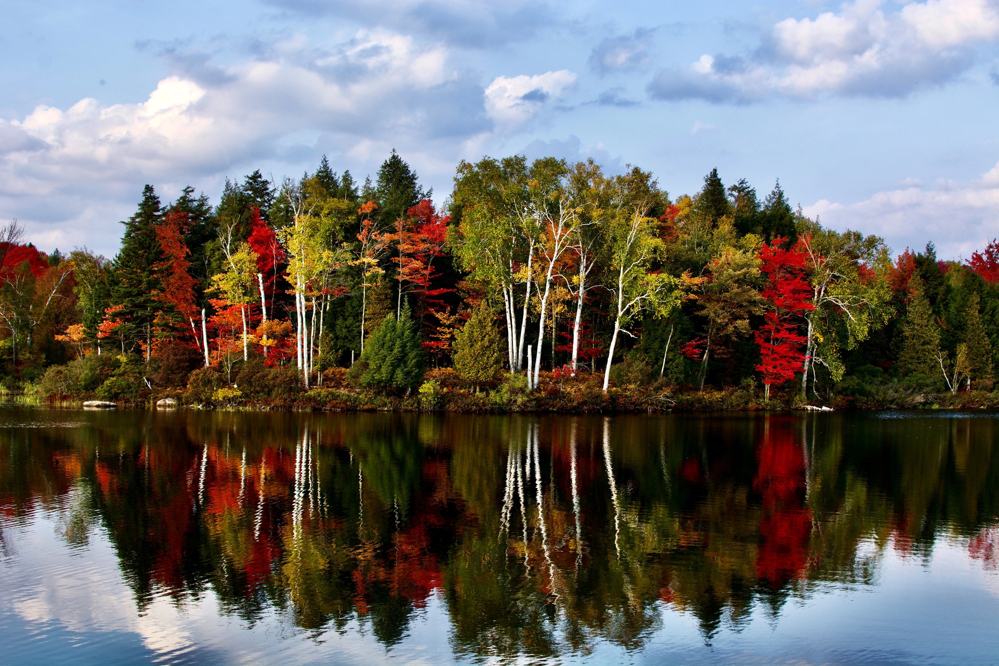 The fall foliage colors next to Pierefield Flow