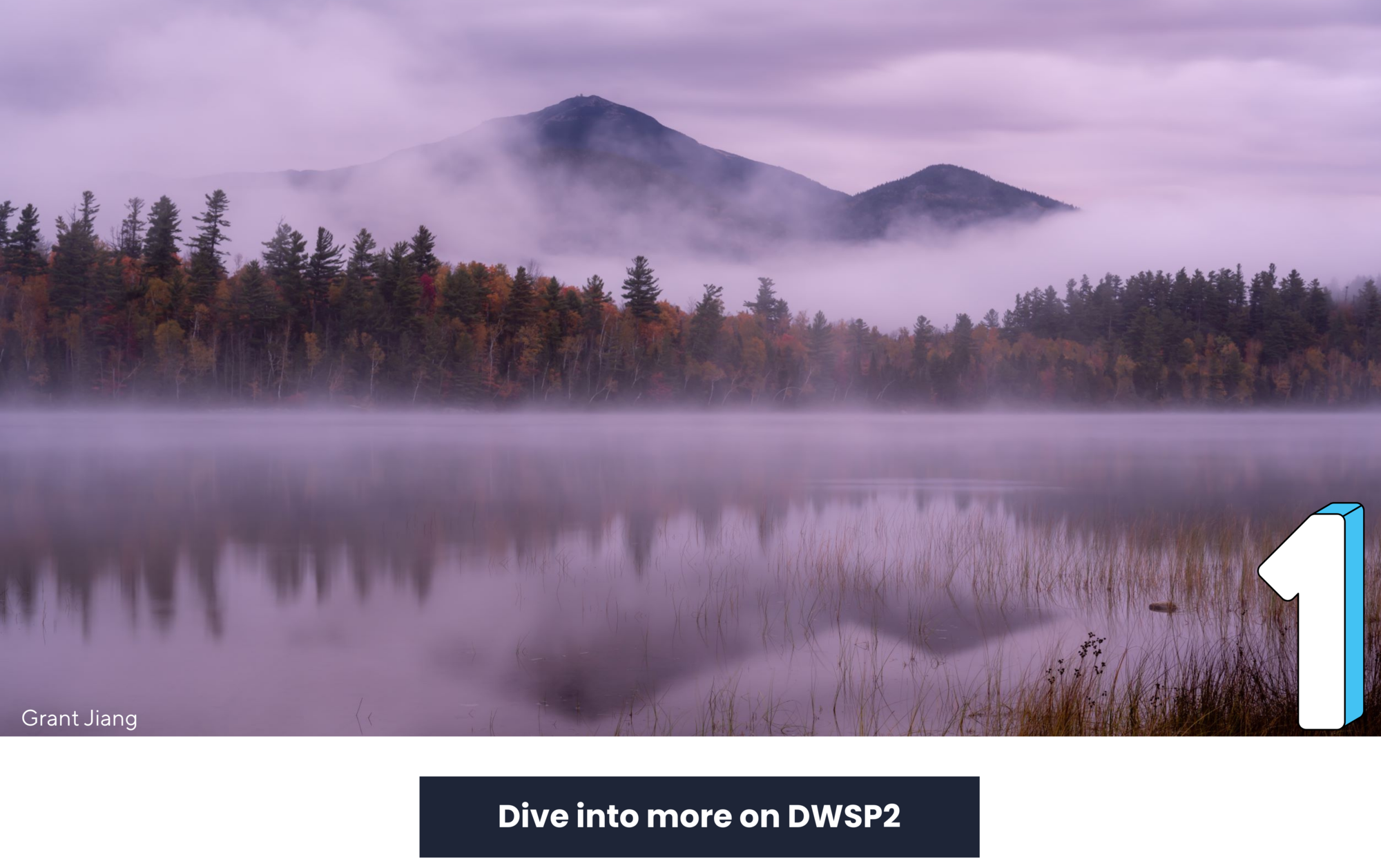 Dive more into DWSP2