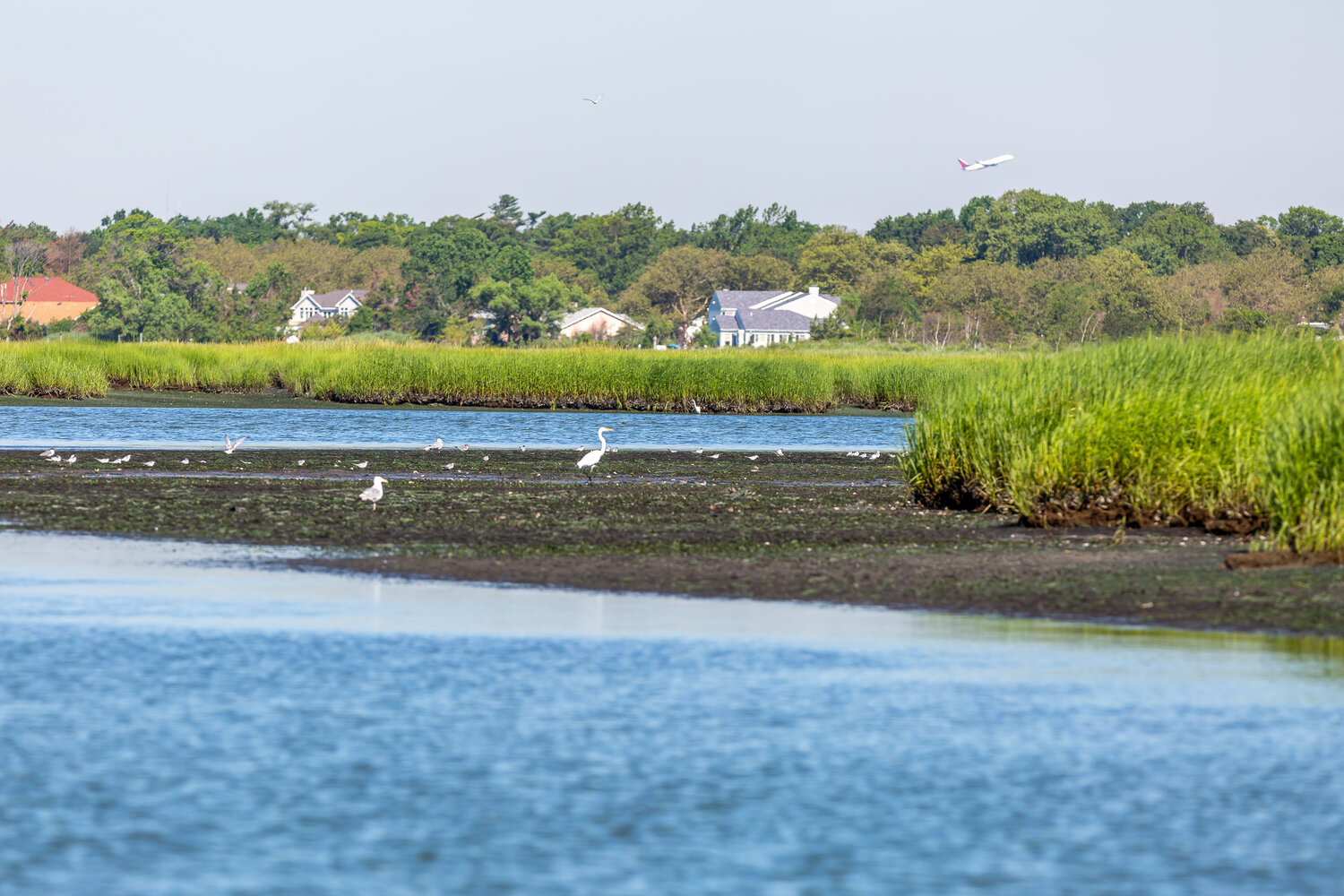 A dead low tide exposing the flats by Crooked Creek in the back water of Bay Park