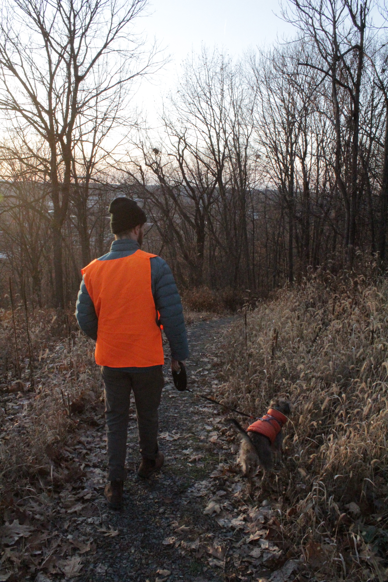 Hiker and dog walking on a trail and wearing blaze orange vests.