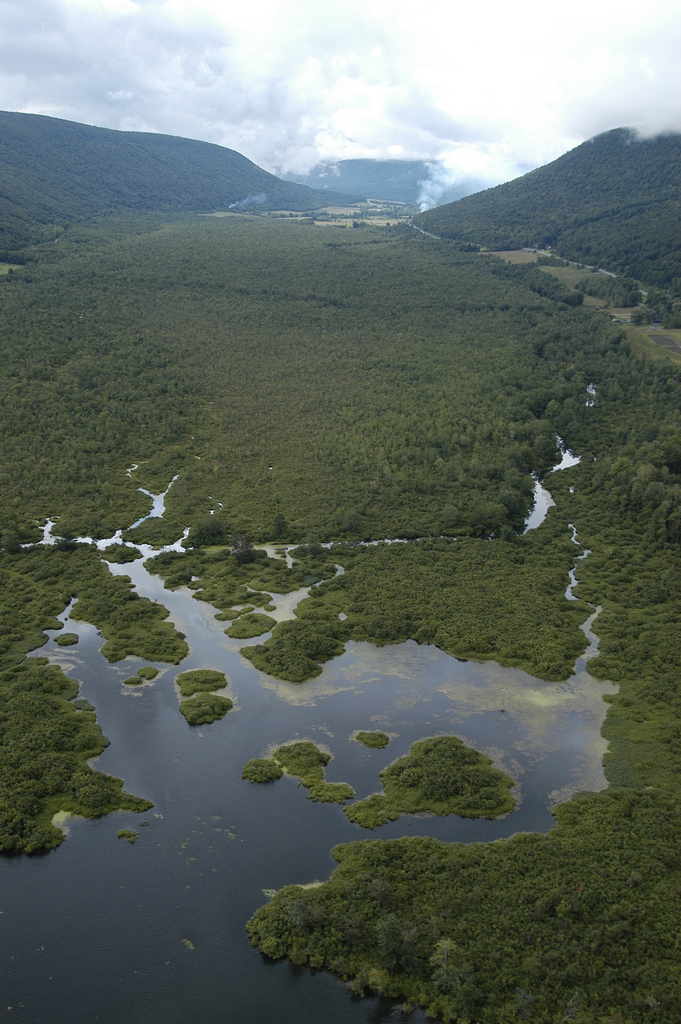 Honeoye Inlet Wildlife Management Area's wetlands and hills.