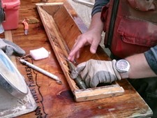 Fisheries biologists measure a herring.