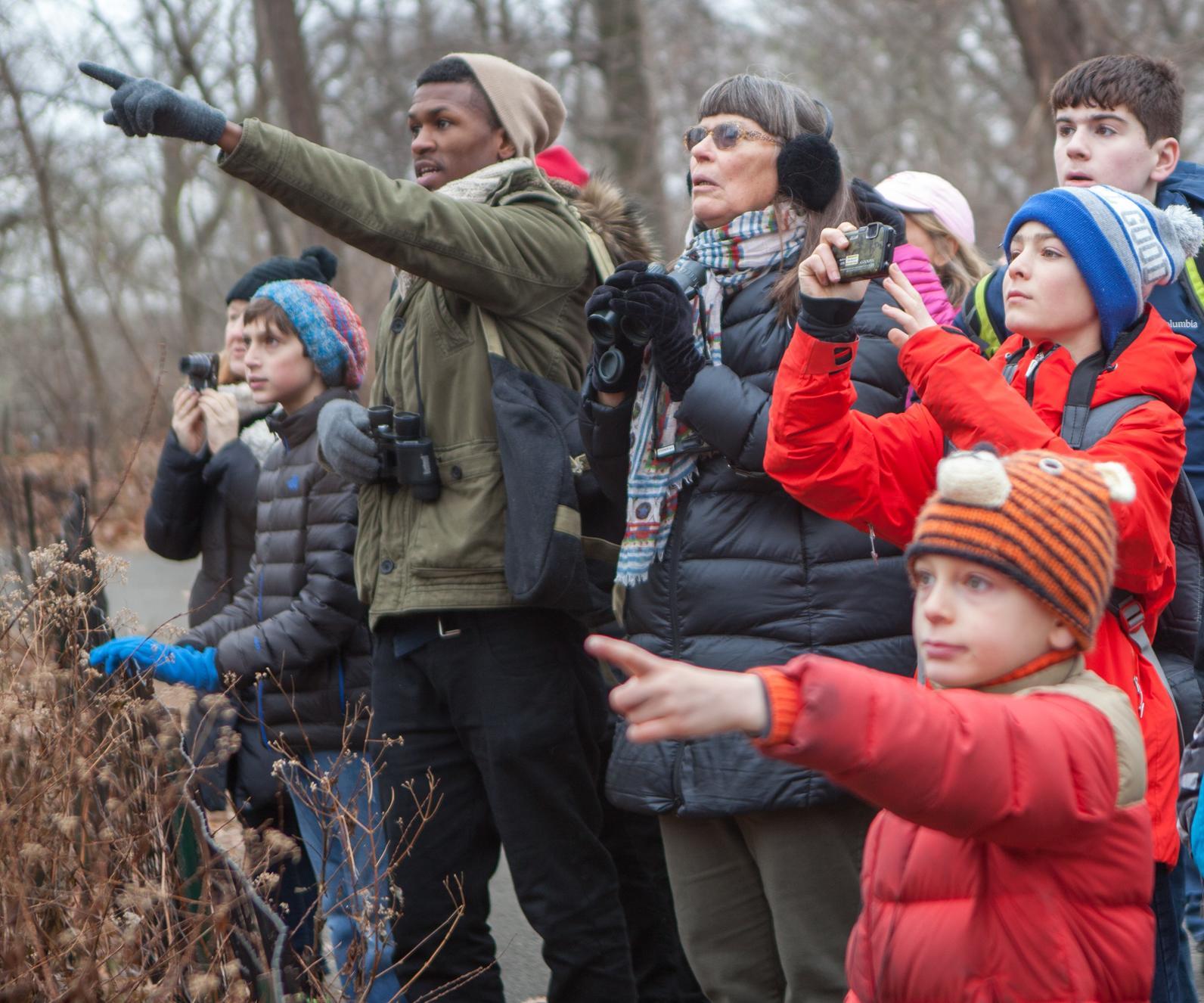 null Group of birders in cold weather