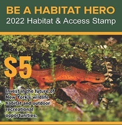 Image of habitat stamp poster showing a red eft