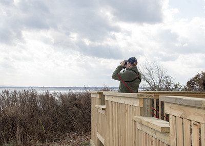 A birder on a birding blind looking out over the water for gulls and other wintering birds