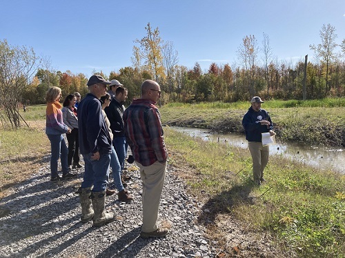 Cayuga Creek restoration