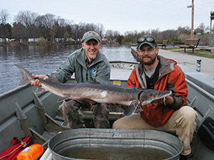 Biologists holding lake sturgeon