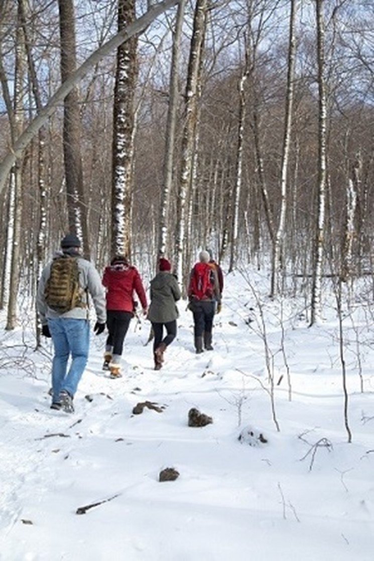 People on Camp Sagamore Trail in winter