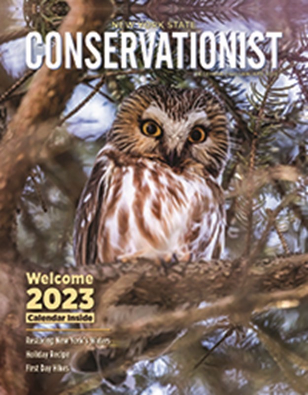 December 2022/January 2023 Conservationist cover