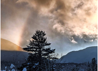 Winter sno-bow