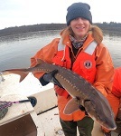 Shortnose sturgeon