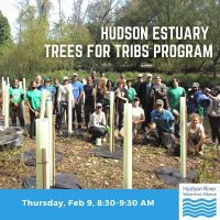 A large group of people stand by tree tubes near a stream in Dobbs Ferry.