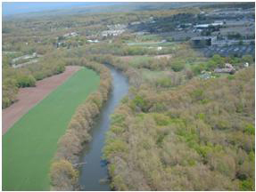 An aerial view of a stream bordered  by trees on either side