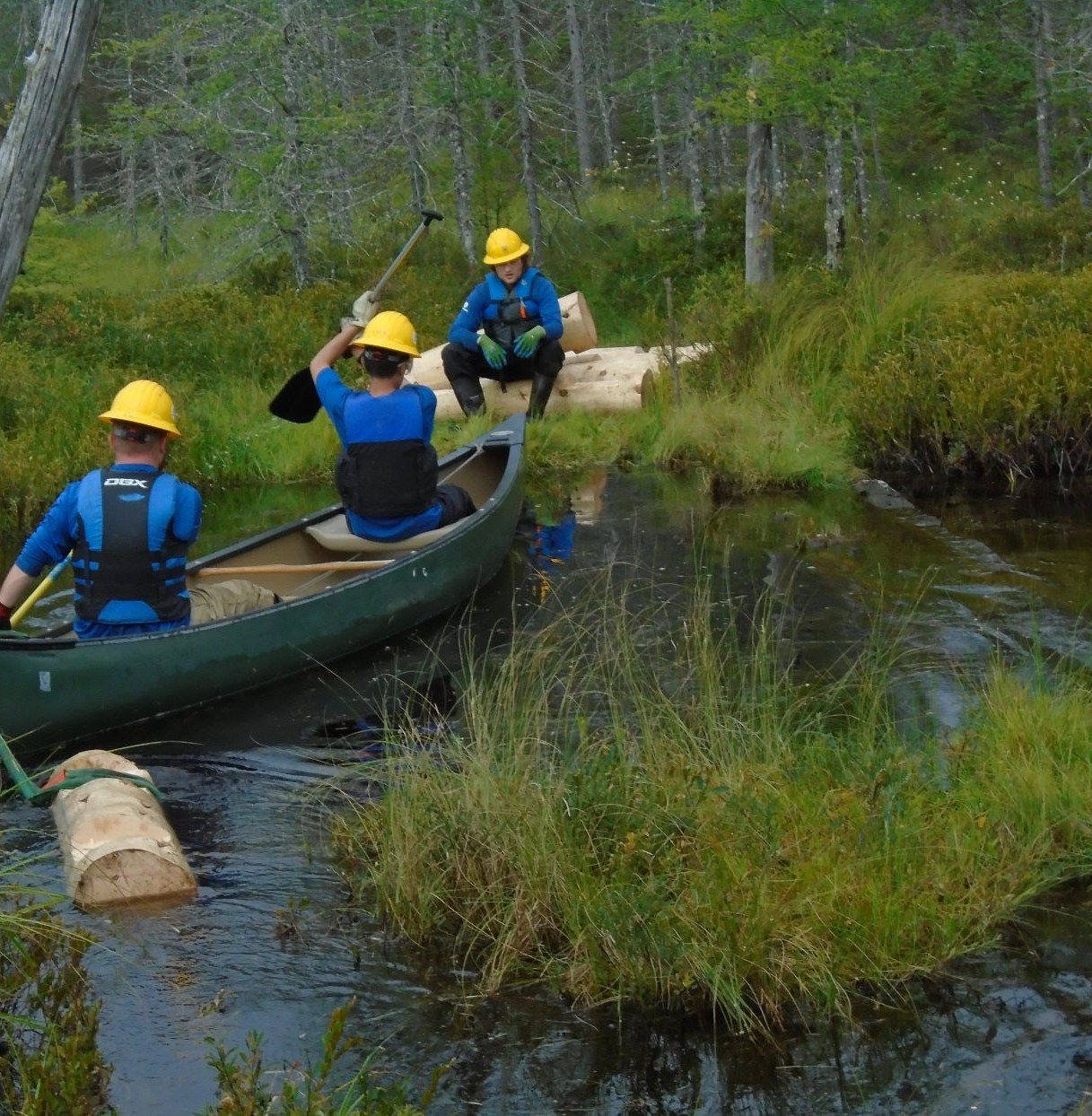 canoe trail work
