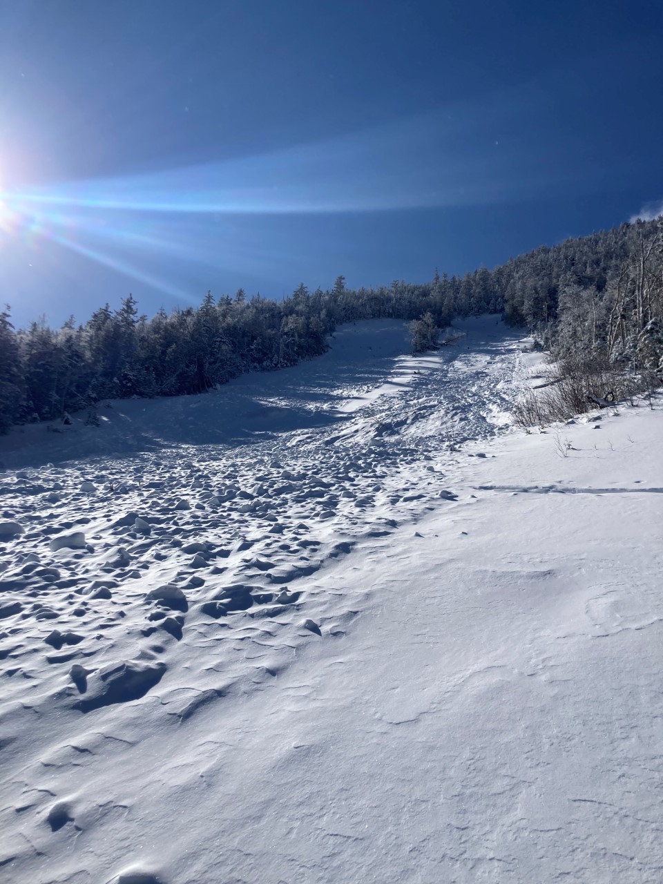 Results of avalanche on Wright Mountain