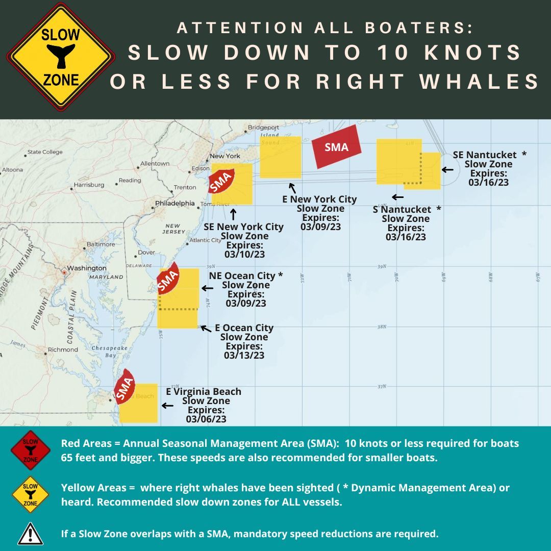 Saltwater Fishing & Boating Newsletter