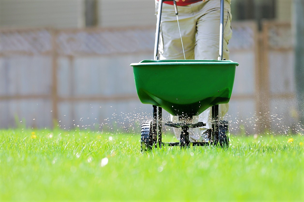 Fertilizer applicator on lawn