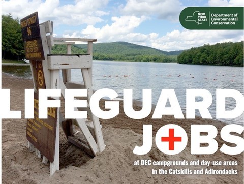 Lifeguard