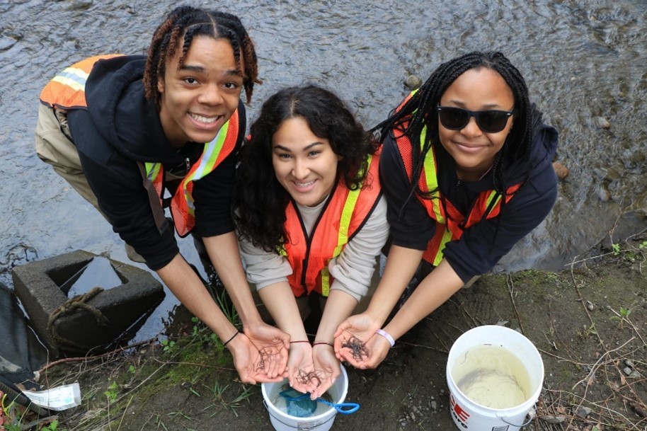 Volunteers with glass eels