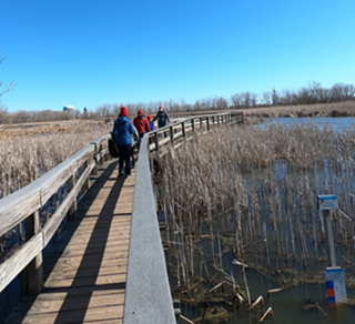 Tifft Nature Preserve