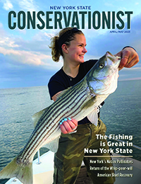 April/May 2023 Conservationist Cover