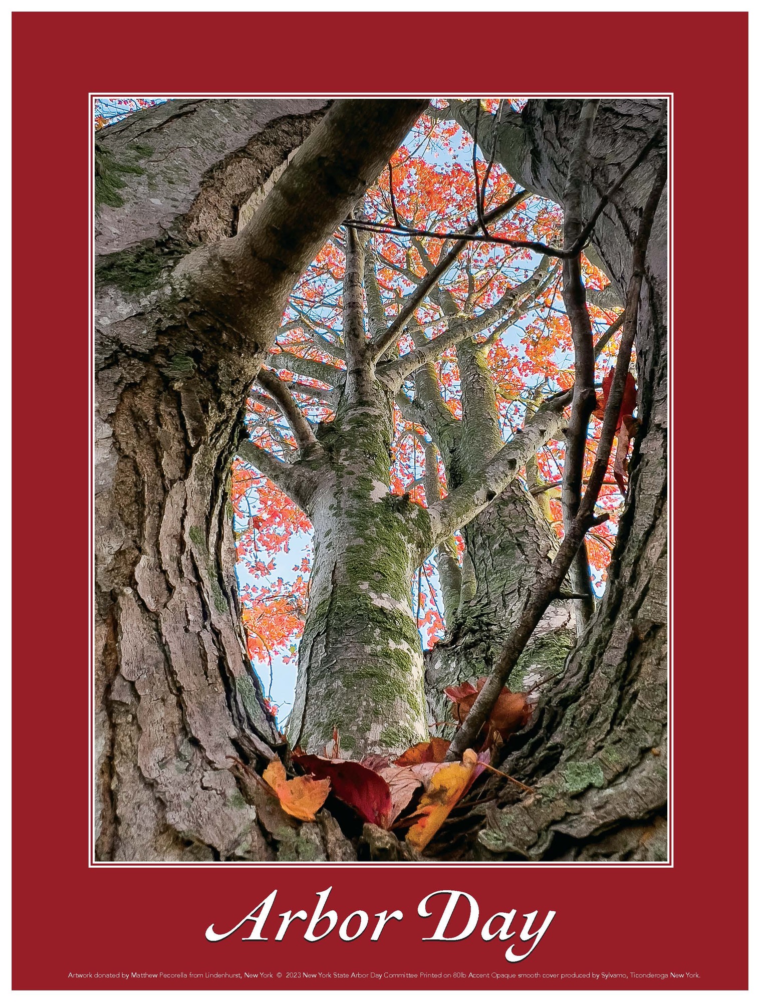 2023 Arbor Day Poster with red maple fall foliage framed by circular branches