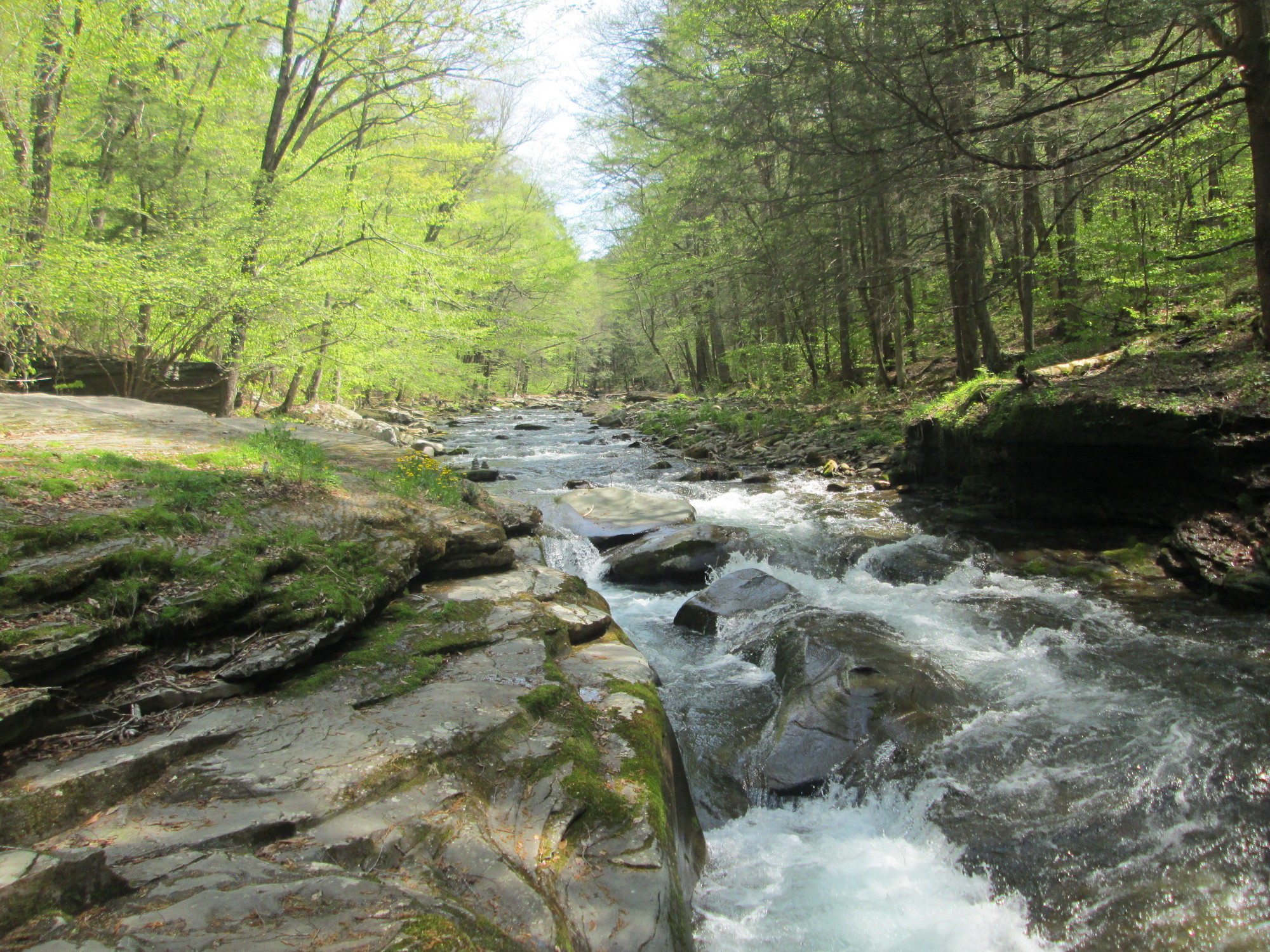 Stream at Blue Hole