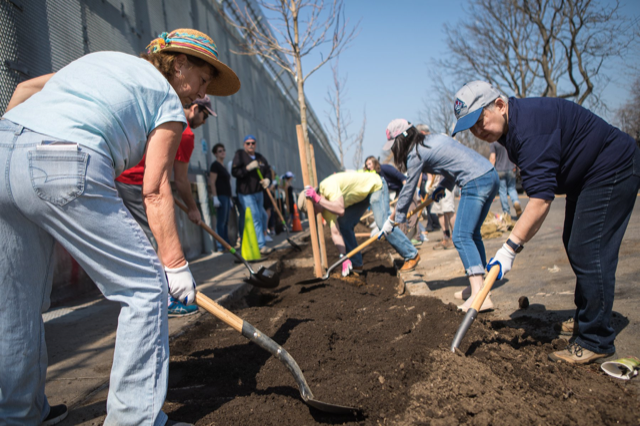 volunteers planting trees