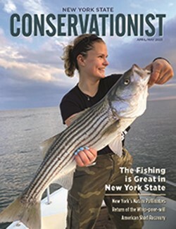 April/May 2023 Conservationist cover