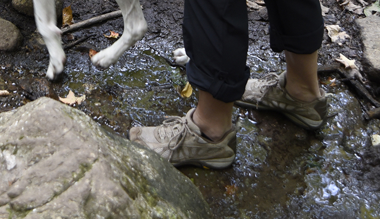 A boot steps in a mud puddle on trail