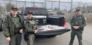 ECOs Ableson, Korey, and Broughton with recovered striped bass