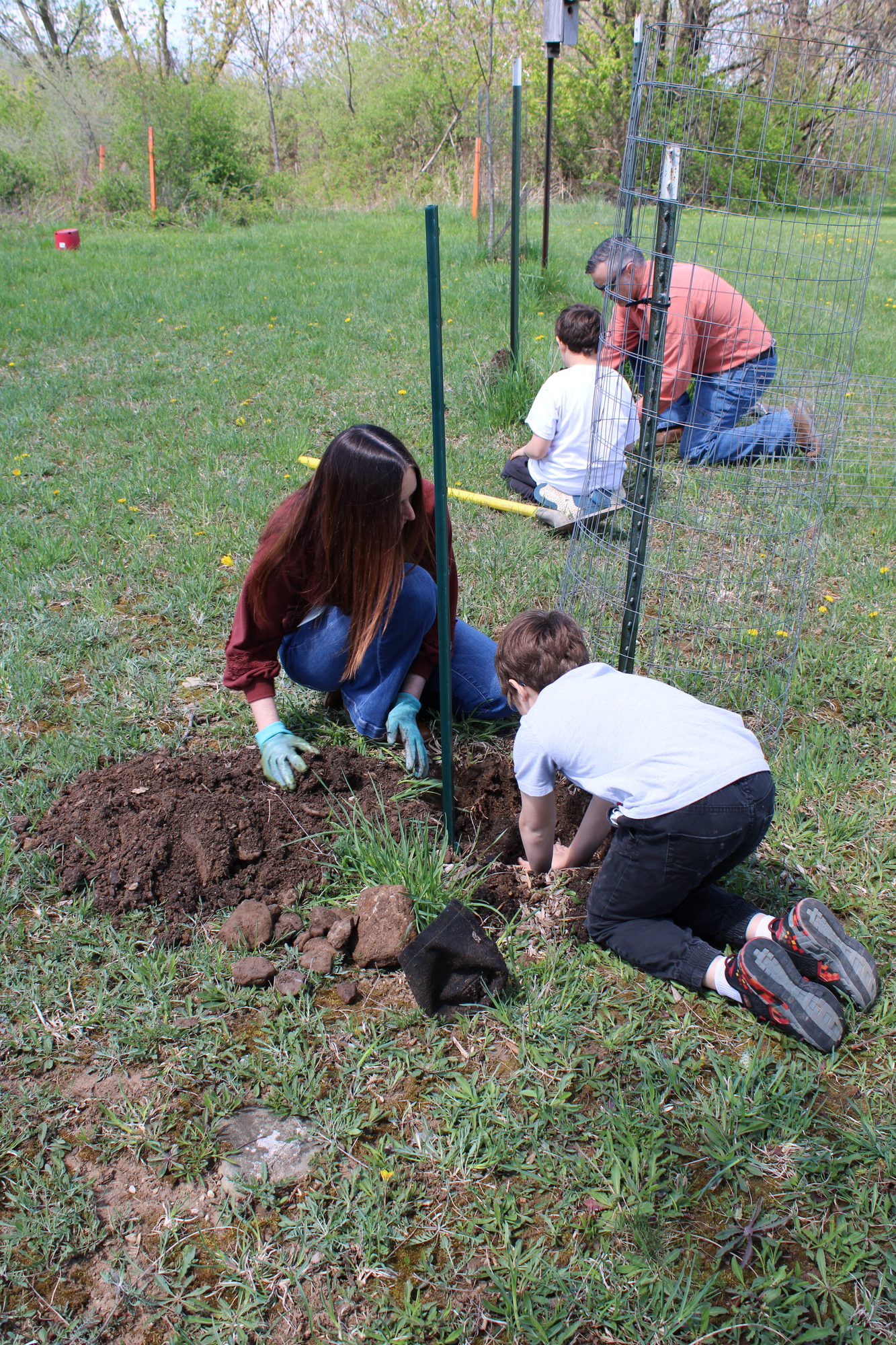 arbor day