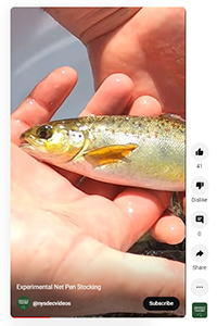 Screenshot Salmon Net Pen Video