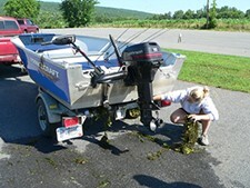 boat inspection for aquatic invasive species