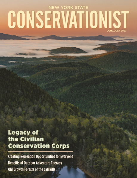 June/July 2023 Conservationist cover
